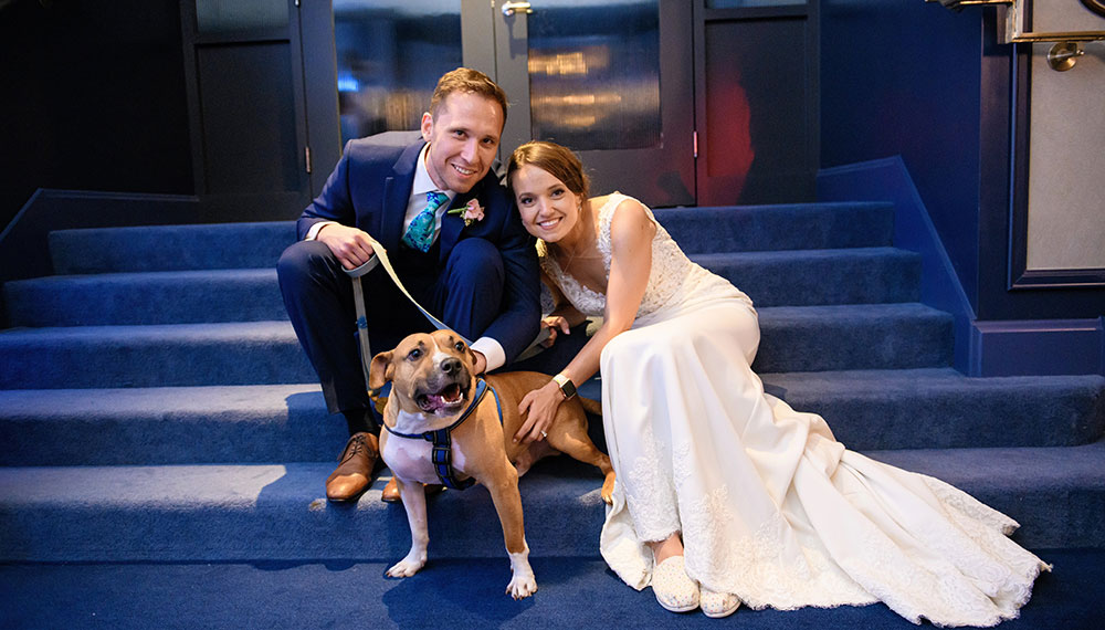 bride and groom sitting on steps with dog