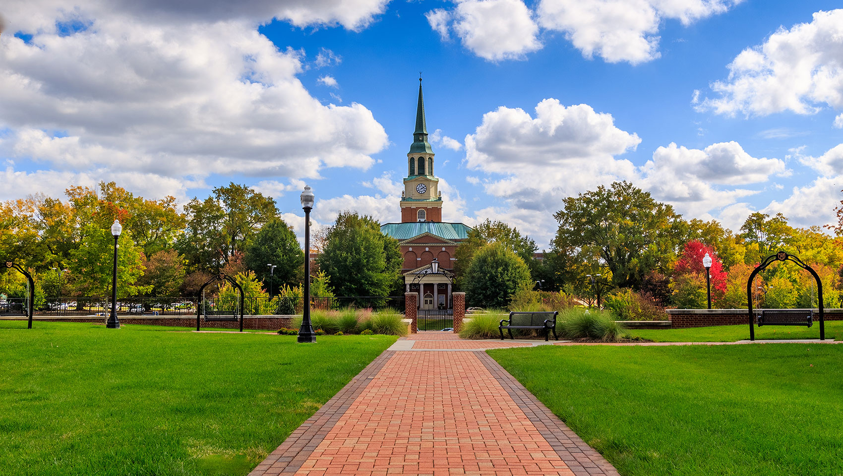 Wake forest university