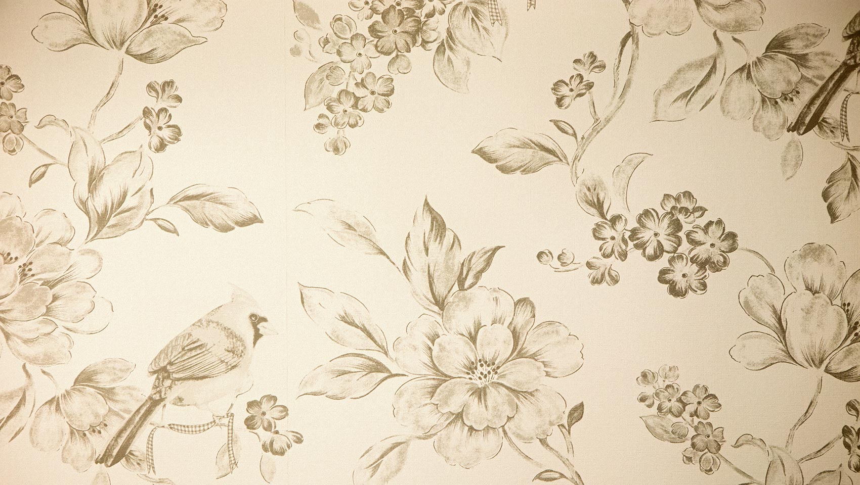 wallpaper at Kimpton Cardinal Hotel