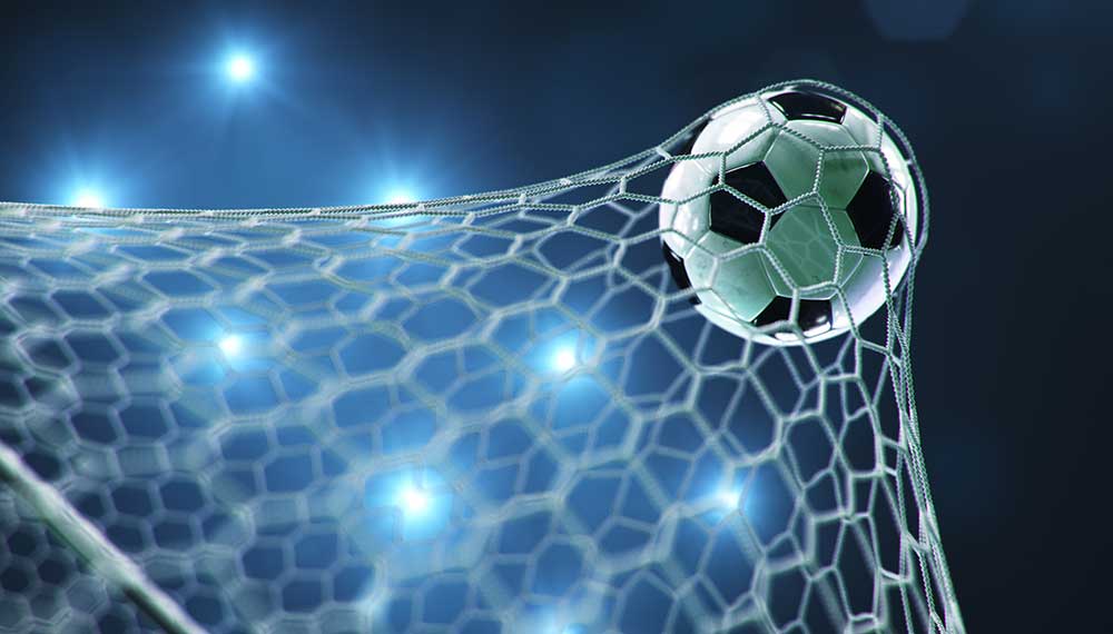 soccer ball in net
