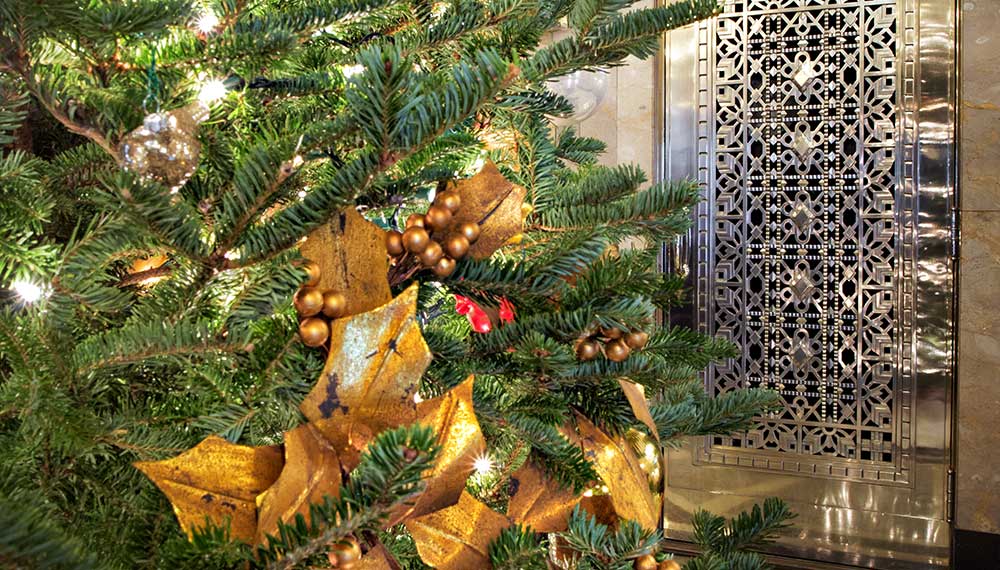 Holiday lights and tree illuminate the Cardinal lobby