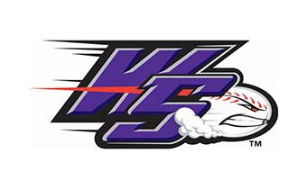 Dash Baseball logo
